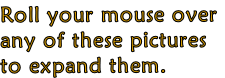 Roll your mouse over
any of these pictures
to expand them. 